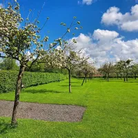orchard-farm-luxury-glamping-and-campsite-glastonbury-hfw5n