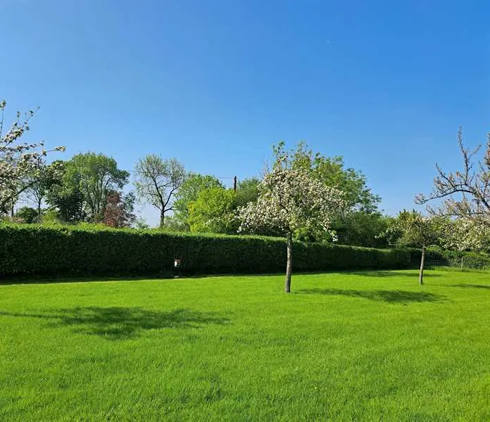 orchard-farm-luxury-glamping-and-campsite-glastonbury-rjdjf