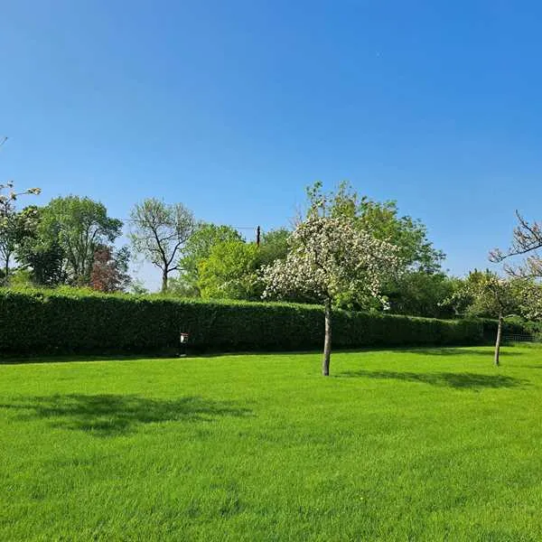orchard-farm-luxury-glamping-and-campsite-glastonbury-rjdjf