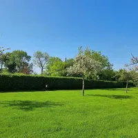orchard-farm-luxury-glamping-and-campsite-glastonbury-rjdjf