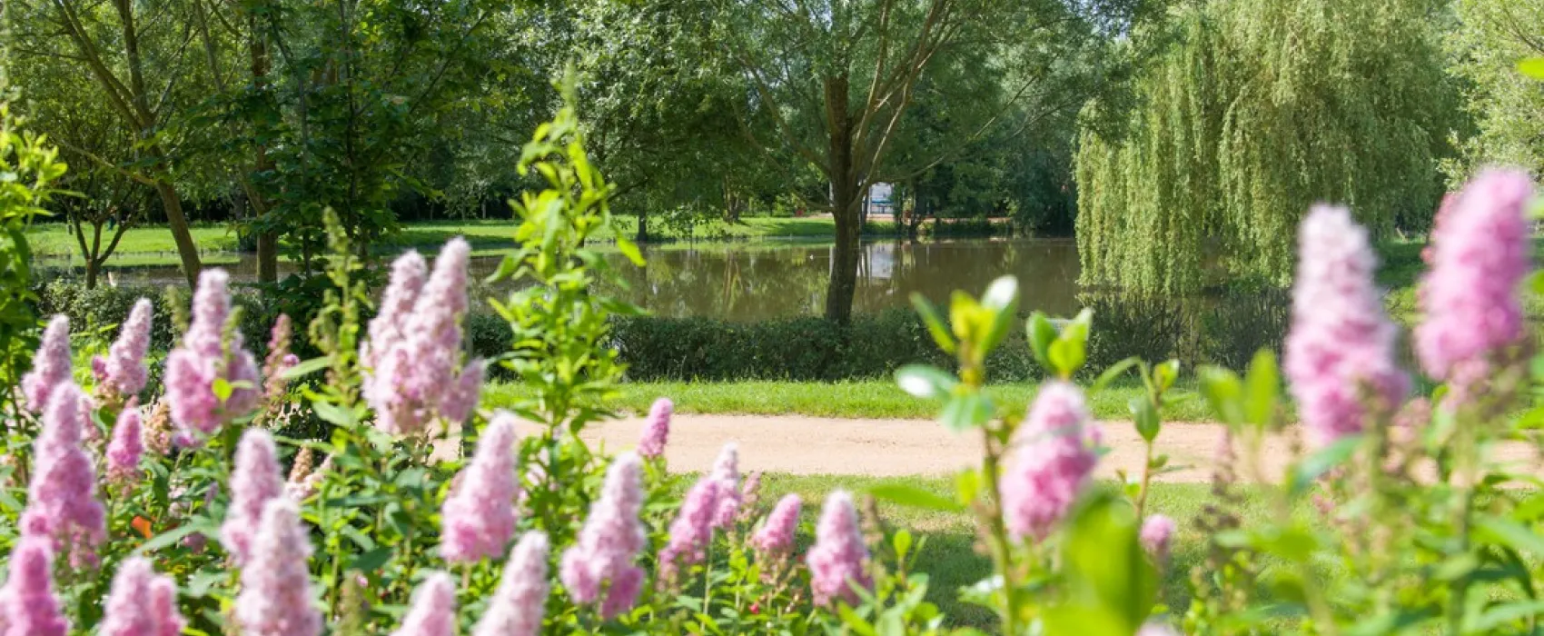 Domaine de l'Etang