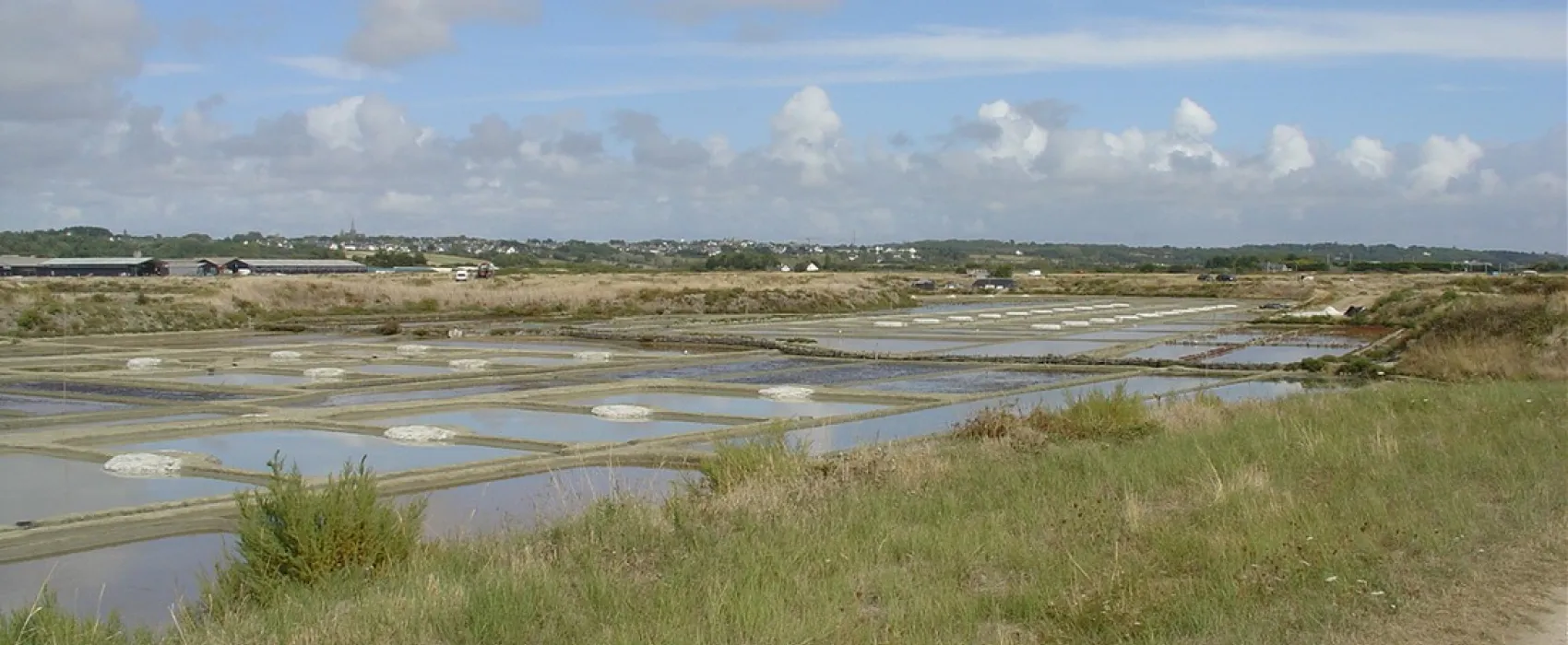 Trémondec
