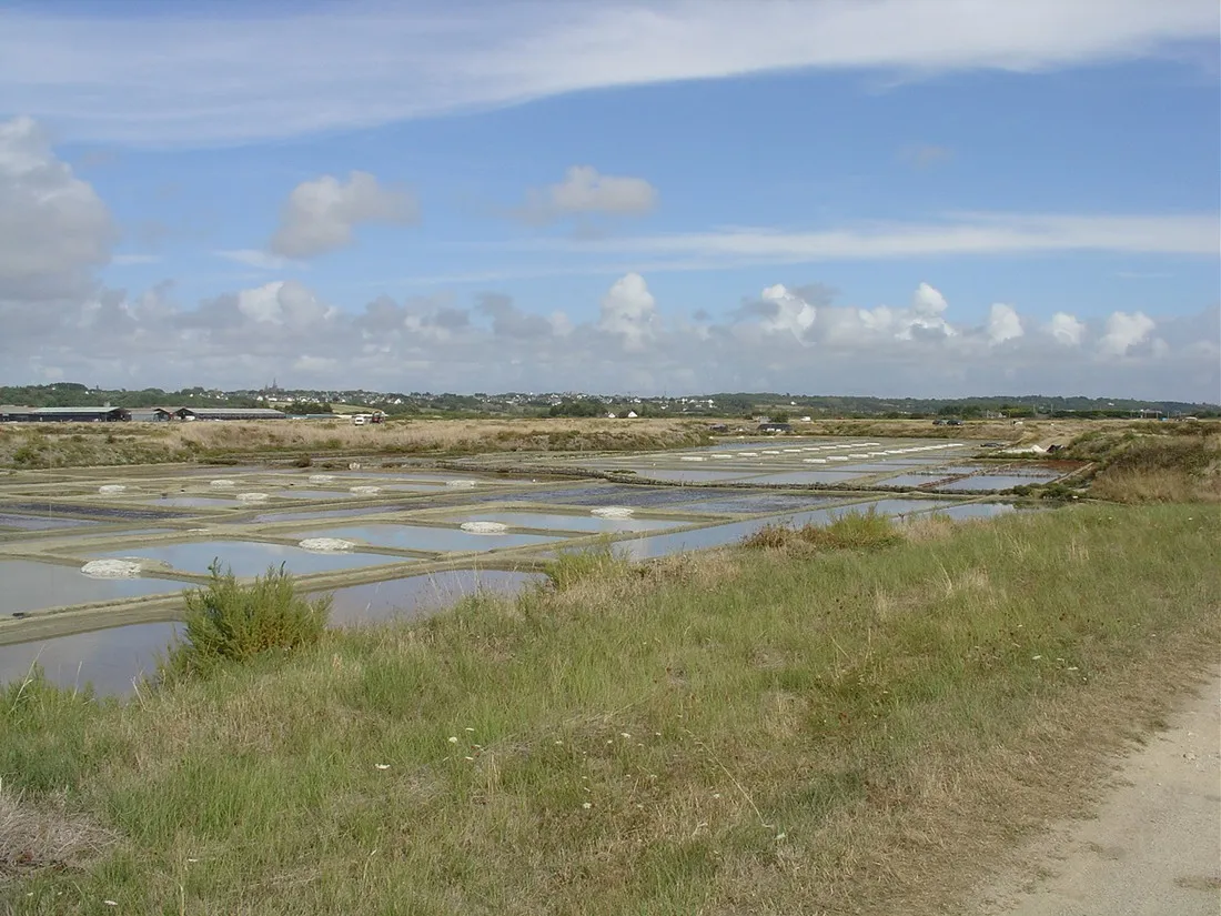 tremondec-guerande-loire-atlantique-xvs88