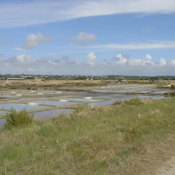 tremondec-guerande-loire-atlantique-xvs88