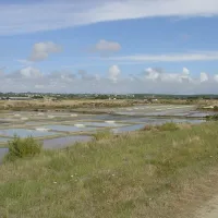tremondec-guerande-loire-atlantique-xvs88