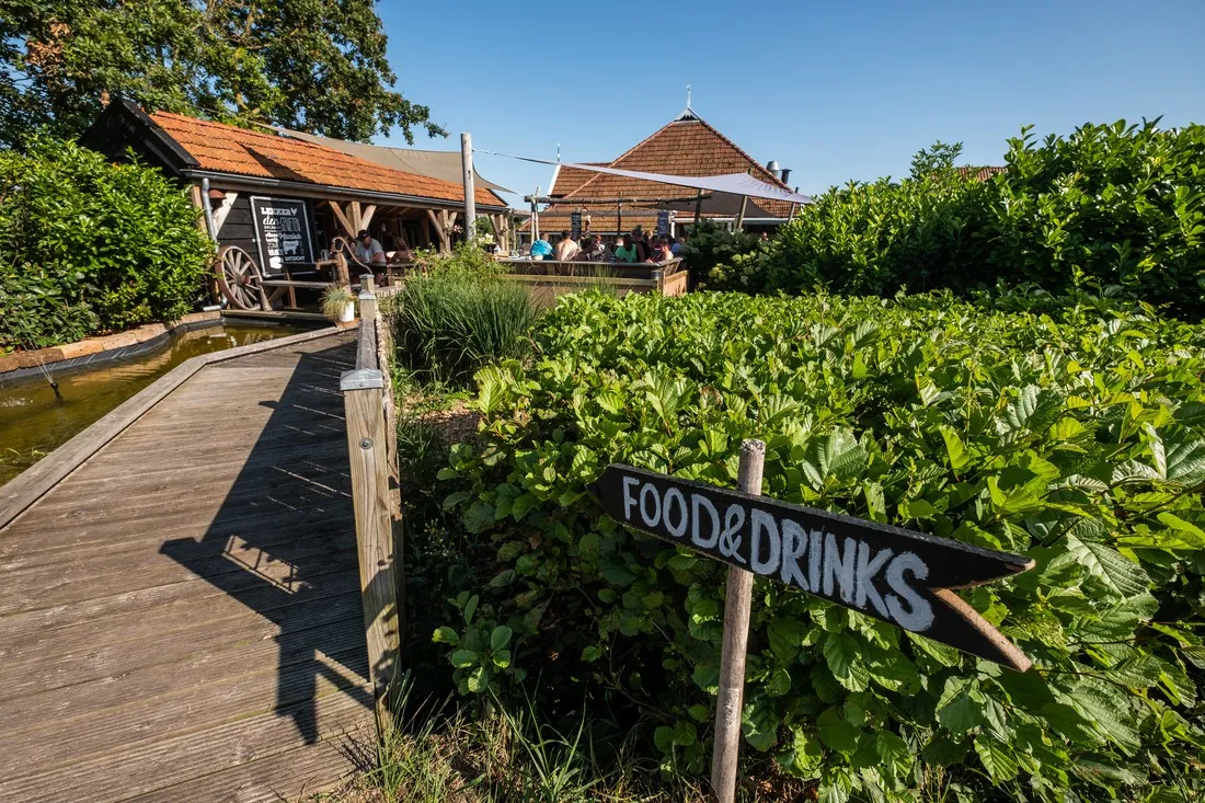 cupido-terschelling-epdyh