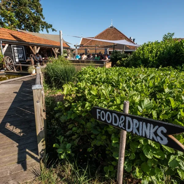 cupido-terschelling-epdyh