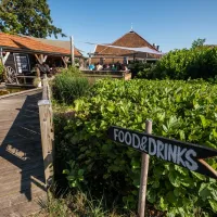 cupido-terschelling-epdyh