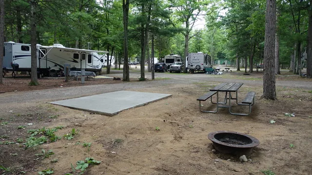 timber-ridge-rv-recreation-resort-traverse-city-c9lpj