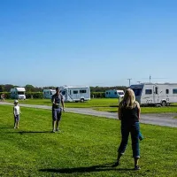 sunnydale-farm-camping-southampton-dlly8