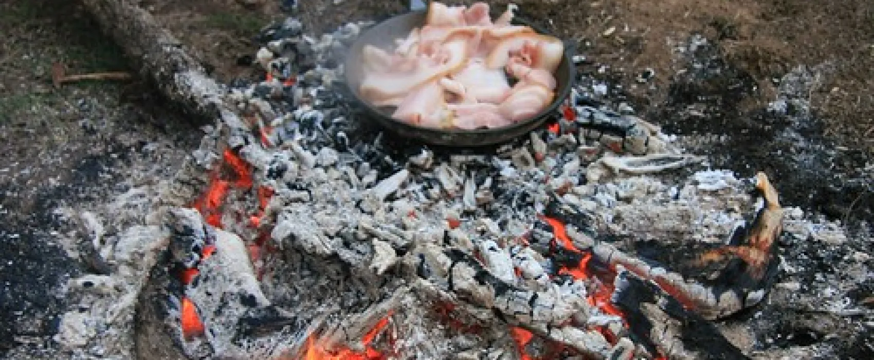 Taponga Campground