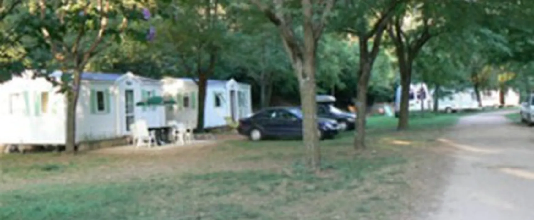 Les Acacias