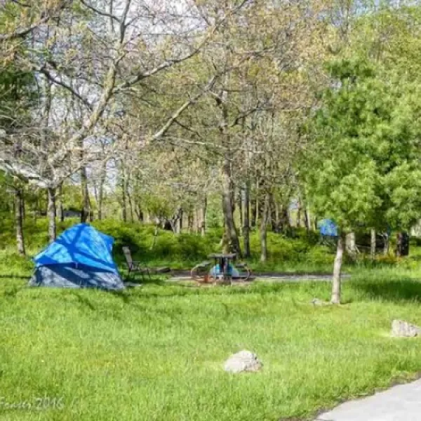 big-meadows-campground-stanley-sugvj