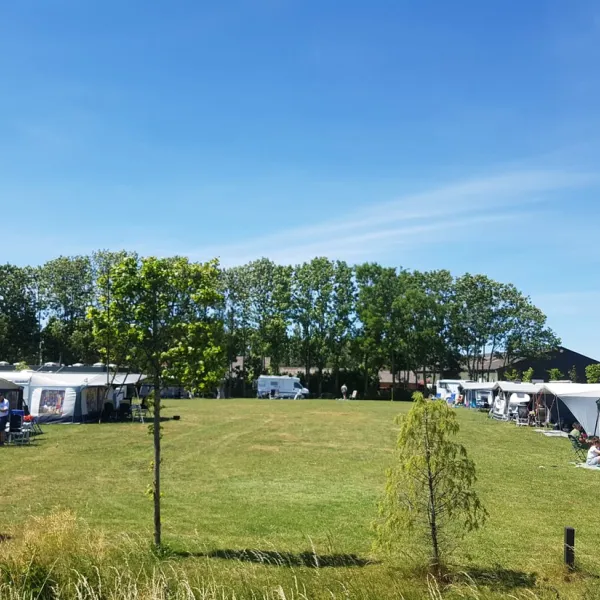 oldershof-nederland-f1uxe