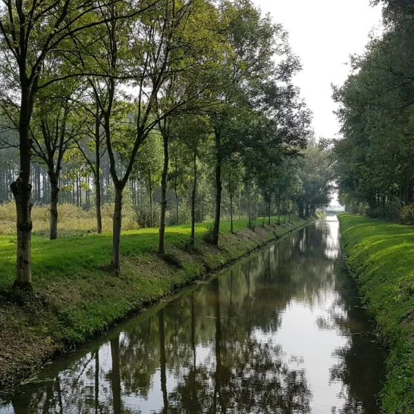 oldershof-nederland-tqjcp