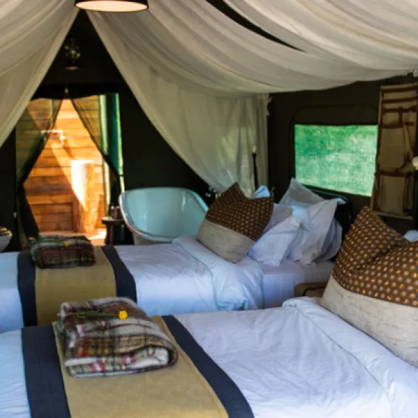 gondwana-pioneer-trail-mossel-bay-garden-route-9uwdw