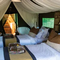 gondwana-pioneer-trail-mossel-bay-garden-route-9uwdw