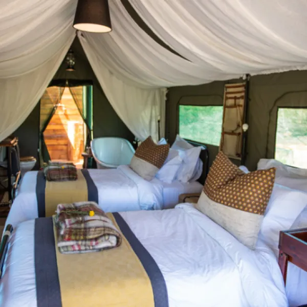 gondwana-pioneer-trail-mossel-bay-garden-route-lstnc