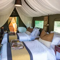 gondwana-pioneer-trail-mossel-bay-garden-route-lstnc