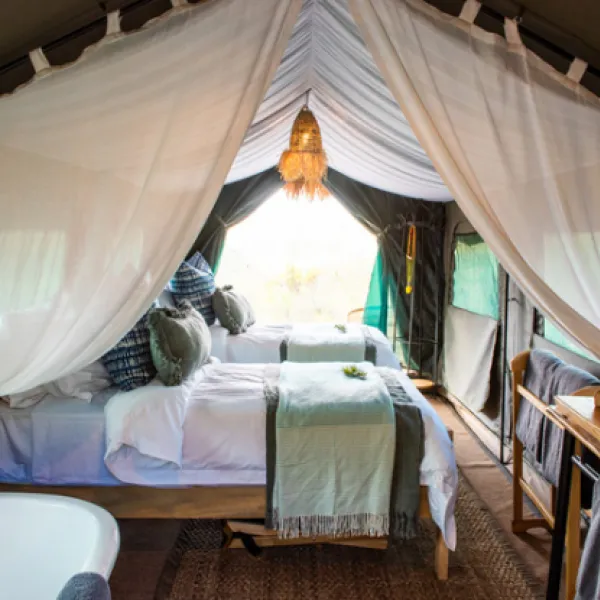 gondwana-pioneer-trail-mossel-bay-garden-route-obnha