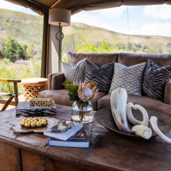 gondwana-pioneer-trail-mossel-bay-garden-route-trnwx