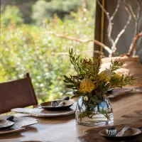 gondwana-pioneer-trail-mossel-bay-garden-route-wqm0q