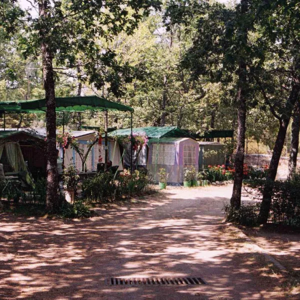 camping-naturaleza-san-miguel-de-valero-vqmyj
