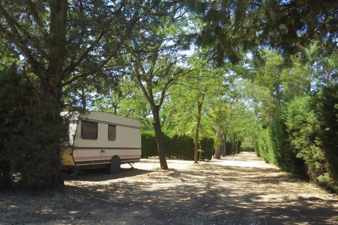 camping-aire-naturelle-belle-de-mai-hyeres-esg95