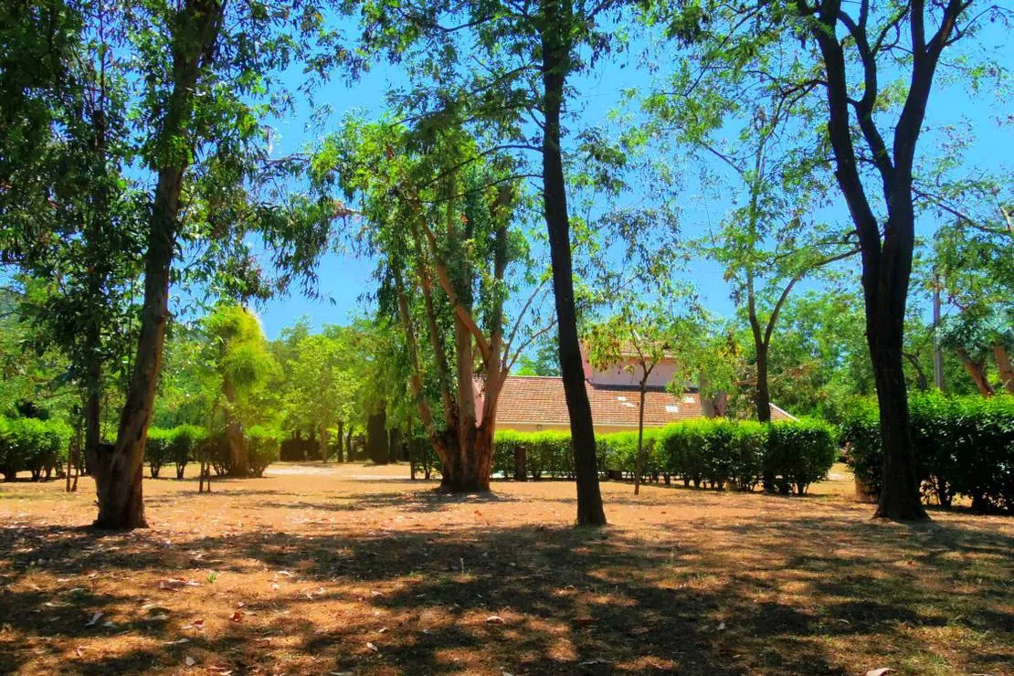 camping-aire-naturelle-belle-de-mai-hyeres-ujw0n