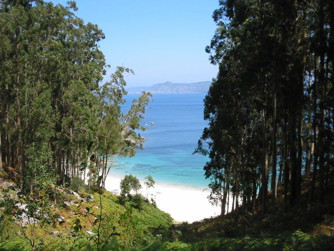 islas-cies-vigo-1wvcj