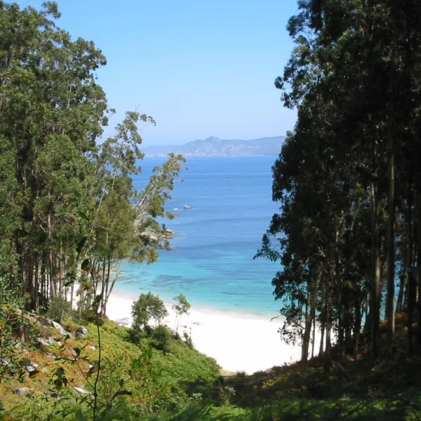 islas-cies-vigo-1wvcj