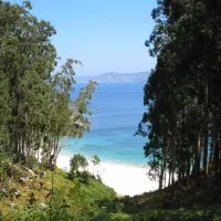 islas-cies-vigo-1wvcj