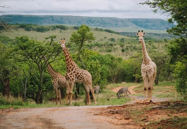 matatane-camp-ulundi-39jsy
