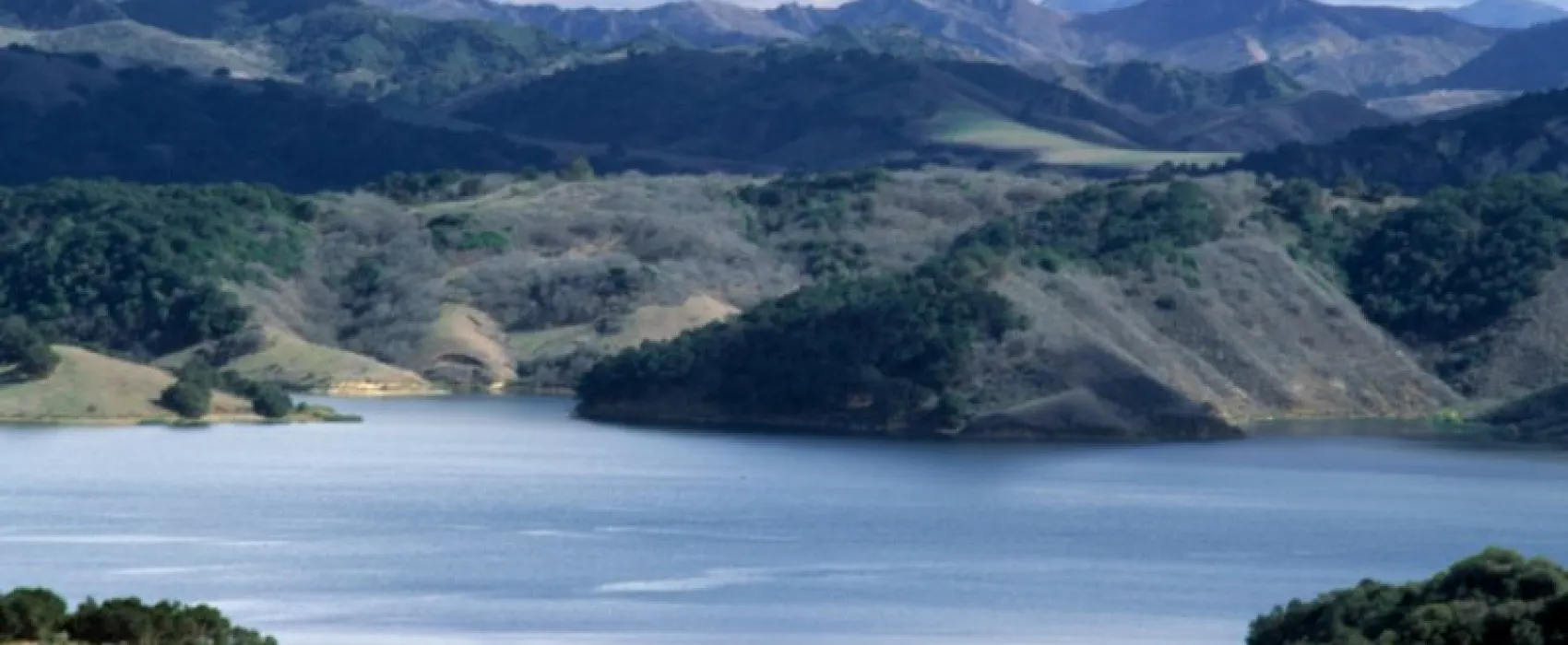 Ventura Oaks