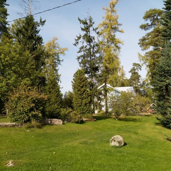 aurantola-jaala-bt1yd