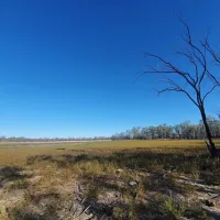 Lake Hattah Campground