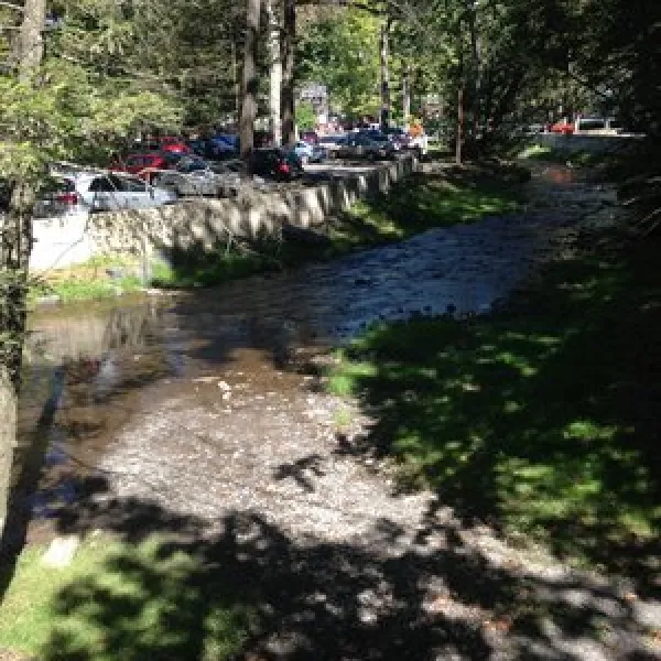 knoebels-amusement-resort-and-campground-elysburg-mg0au