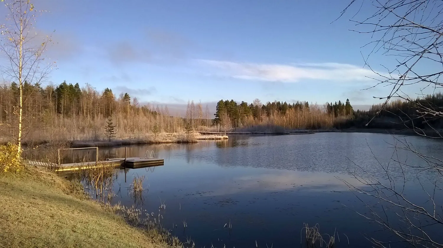 juupavaara-lyly-o2dv0
