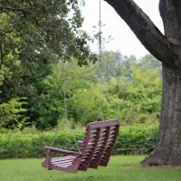 Whittington Woods Campground