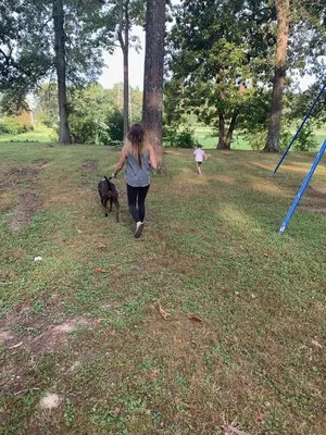 whittington-woods-campground-whittington-ujttr