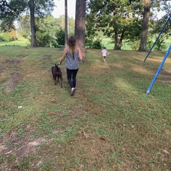 whittington-woods-campground-whittington-ujttr