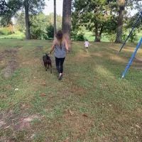 whittington-woods-campground-whittington-ujttr