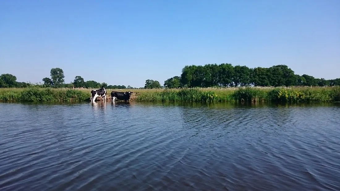 boerencamping-het-scholtemeijer-diffelen-u7kdg