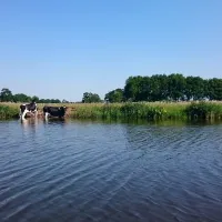 boerencamping-het-scholtemeijer-diffelen-u7kdg