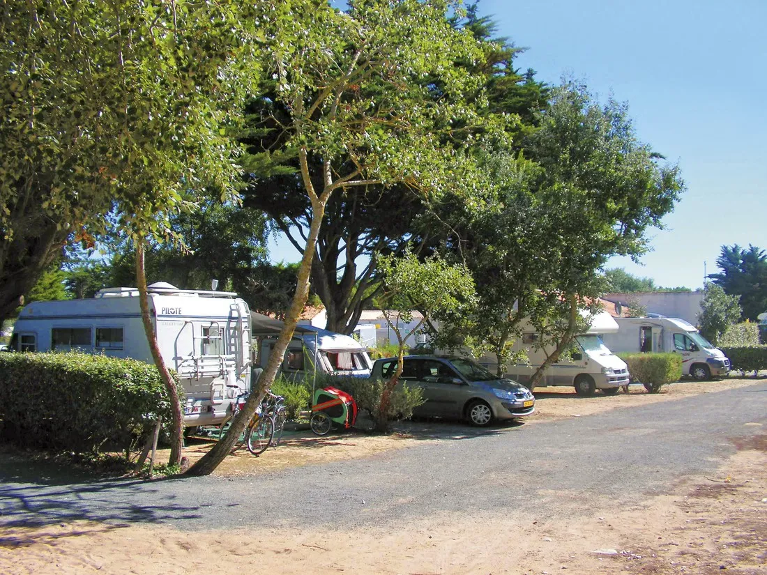 campeole-les-amis-de-la-plage-le-bois-plage-en-re-charente-maritime-cokje