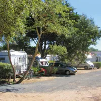 campeole-les-amis-de-la-plage-le-bois-plage-en-re-charente-maritime-cokje