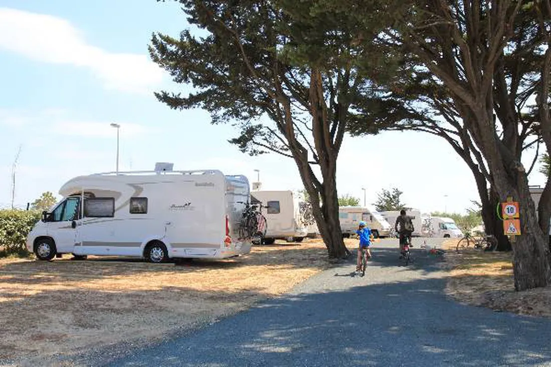 campeole-les-amis-de-la-plage-le-bois-plage-en-re-charente-maritime-sztmy