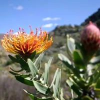 leopard-valley-glamping-citrusdal-cederberg-yrgsk