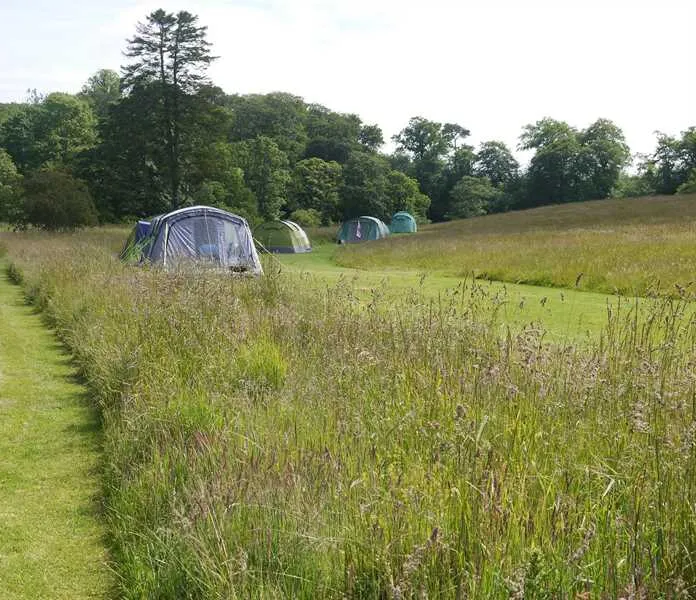 walkmill-campsite-warkworth-6ck6w