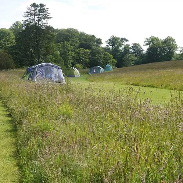 walkmill-campsite-warkworth-6ck6w